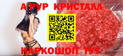 прущие грибы Гатчина