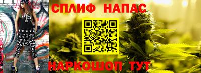 ешки Гай