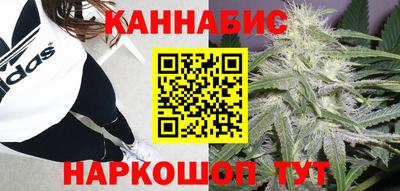 прущие грибы Гатчина