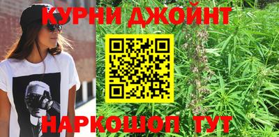 ешки Гай