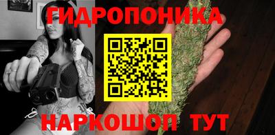 прущие грибы Азнакаево