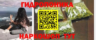 ешки Гай