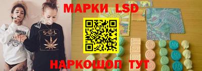 прущие грибы Гатчина