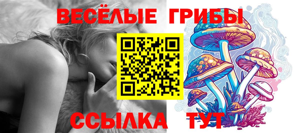 Псилоцибиновые грибы GOLDEN TEACHER Лесной