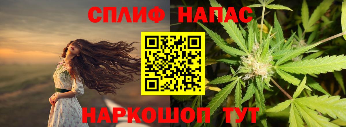 Шишки марихуана план Лесной